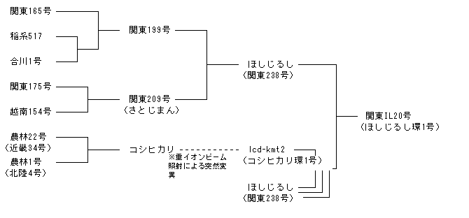 関東IL20号