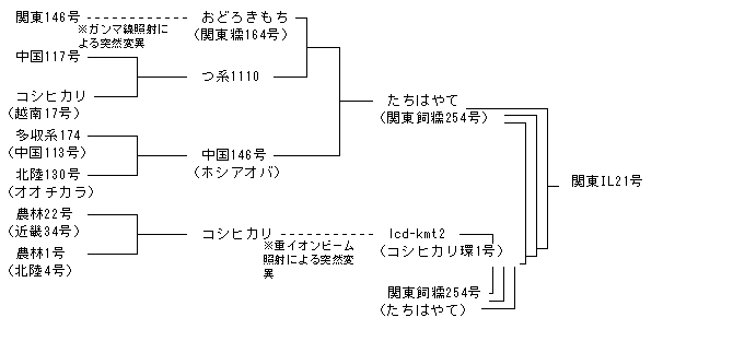 関東IL21号