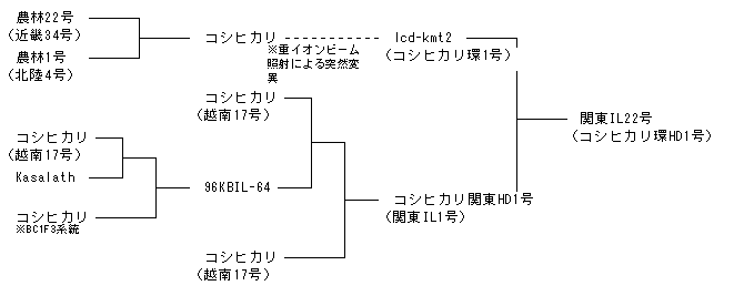 関東IL22号