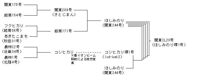 関東IL23号