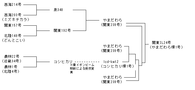 関東IL24号