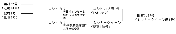 関東IL27号