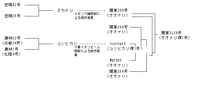 関東IL29号