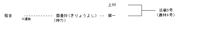 近畿9号