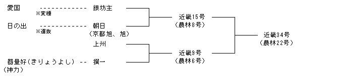近畿34号