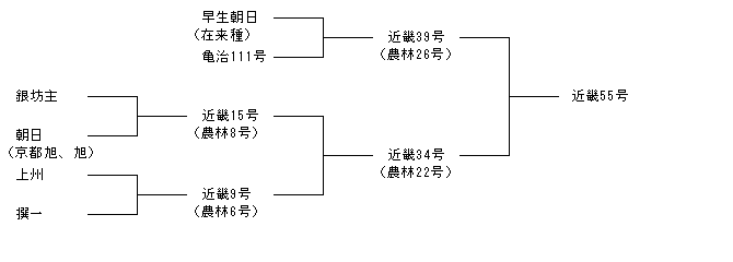 近畿55号