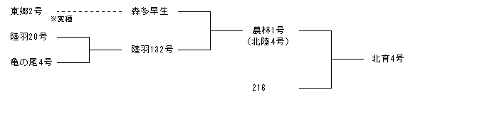 北育4号