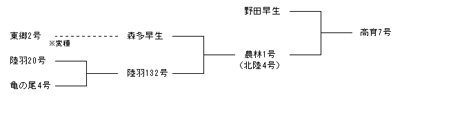 高育7号