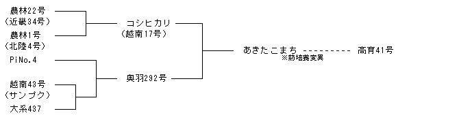 高育41号