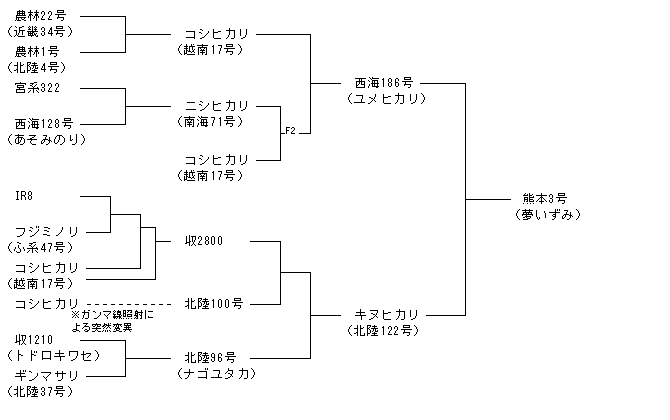 熊本3号