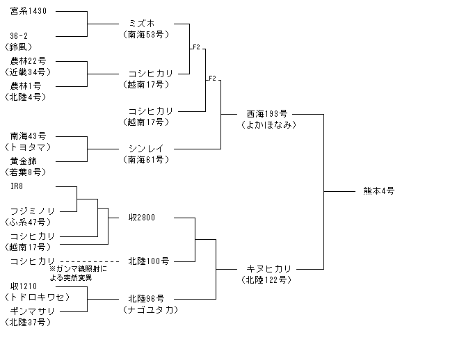 熊本4号
