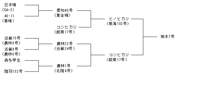 熊本7号