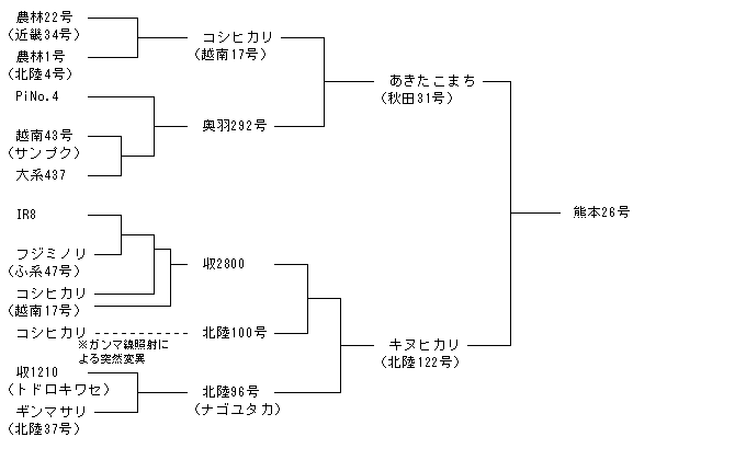 熊本26号