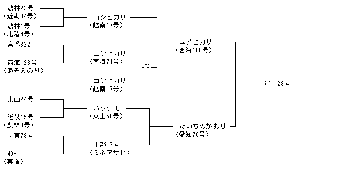 熊本28号