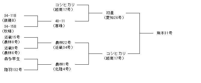 熊本31号