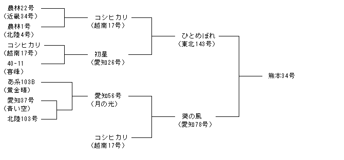 熊本34号