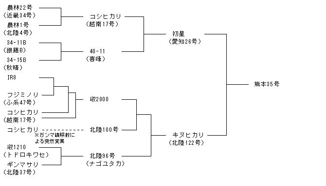 熊本35号