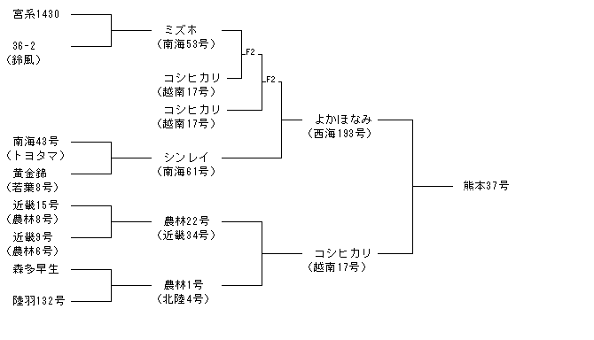 熊本37号