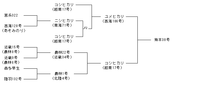 熊本38号