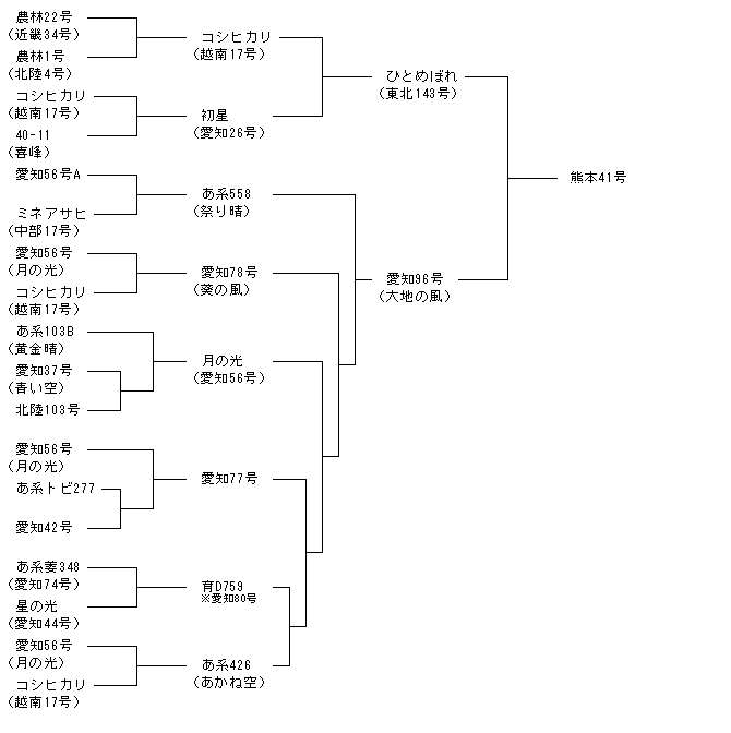 熊本41号