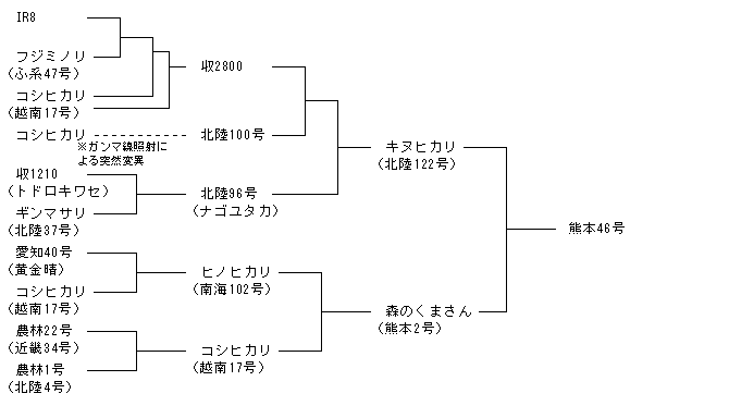 熊本46号