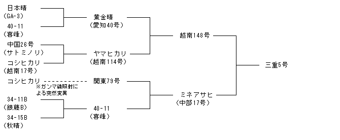 三重5号