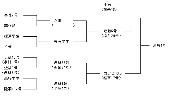宮崎4号
