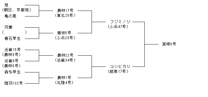 宮崎8号