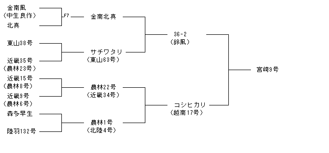 宮崎9号