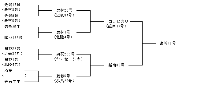 宮崎10号