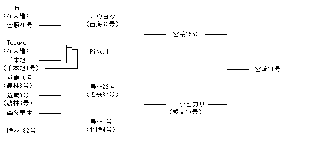 宮崎11号