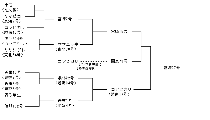 宮崎27号
