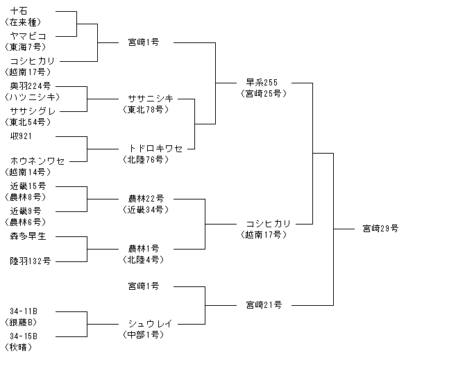 宮崎29号