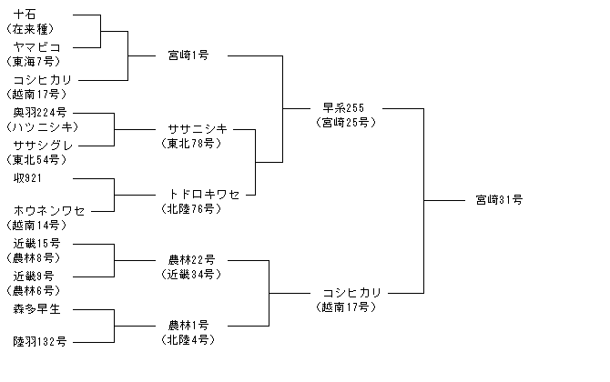 宮崎31号