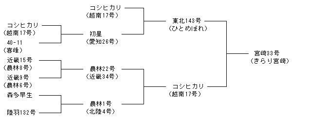 宮崎33号