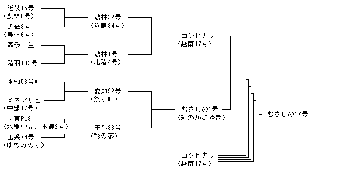 むさしの17号