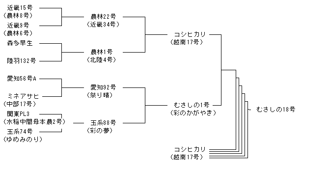 むさしの18号