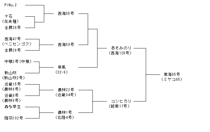 南海95号