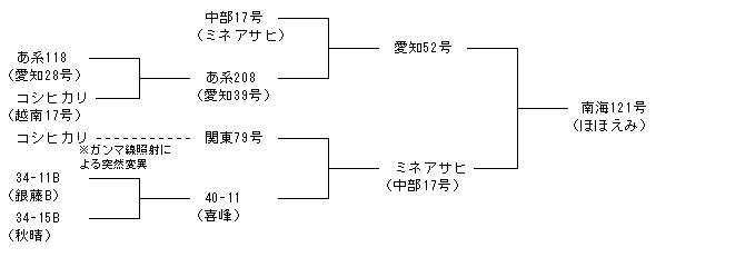 南海121号