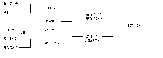中新130号