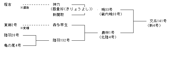交系141号