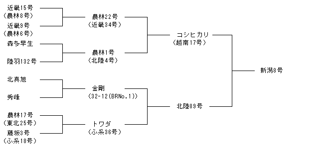 新潟8号