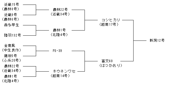 新潟12号