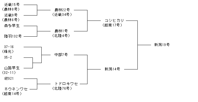 新潟19号