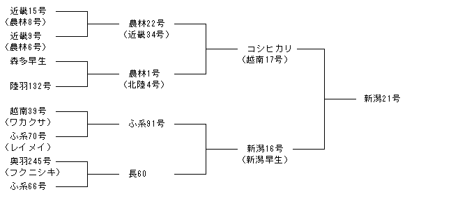 新潟21号