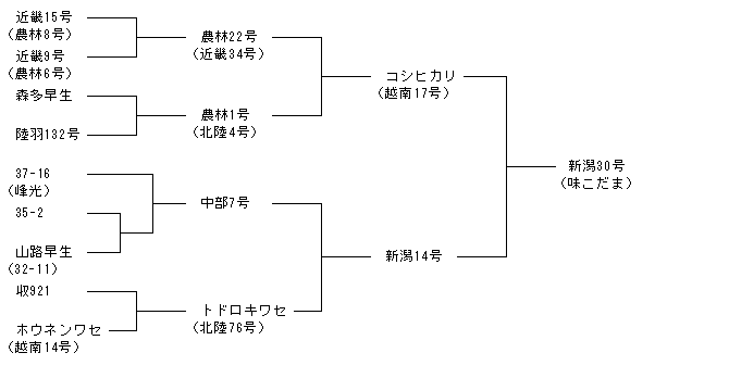 新潟30号