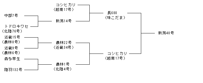 新潟40号