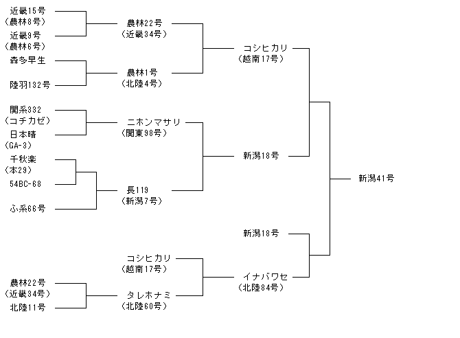 新潟41号