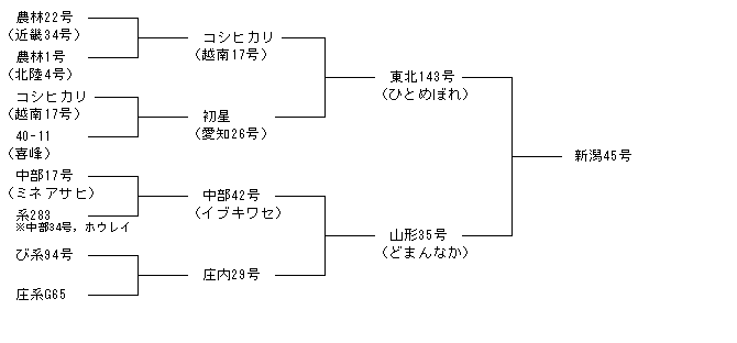 新潟45号