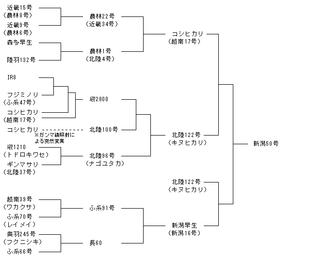 新潟50号